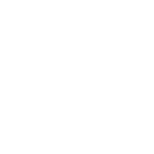 Bundjalung Dreaming