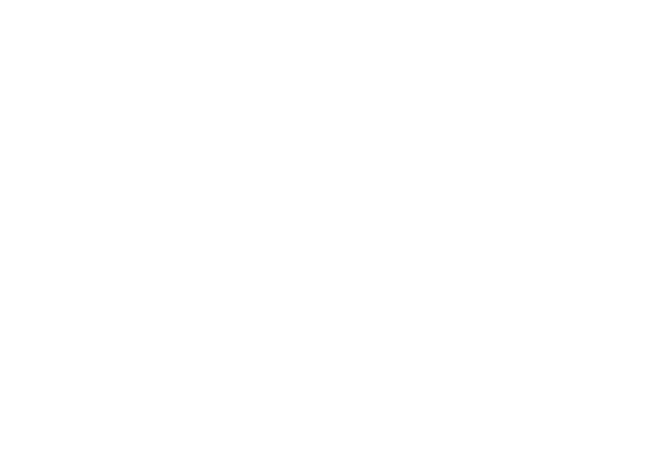 Indigi